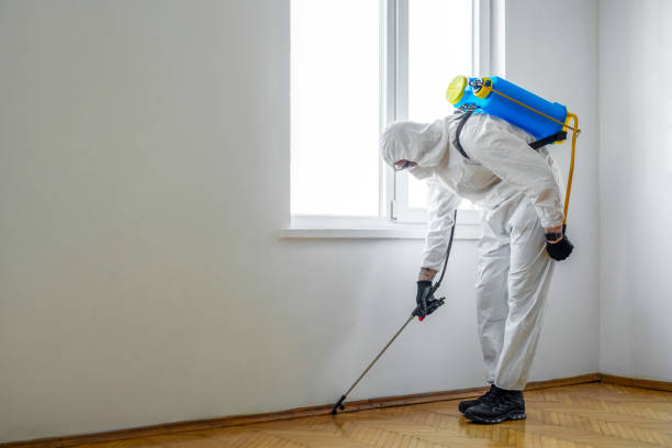 Best Residential Pest Control  in Hampton Manor, NY